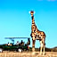 Safari Plains