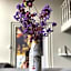 B&B Montancourt-Middelburg