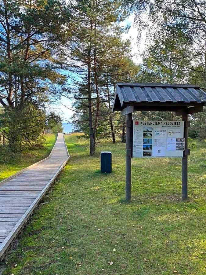 Beautiful Seaside apartement Albatross 24