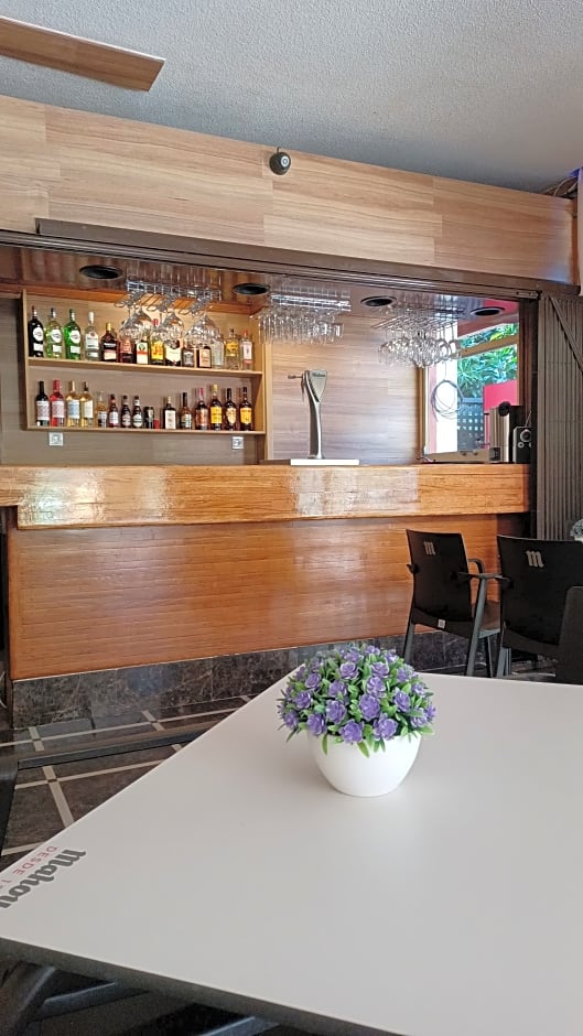 Picasso - Fincas Benidorm