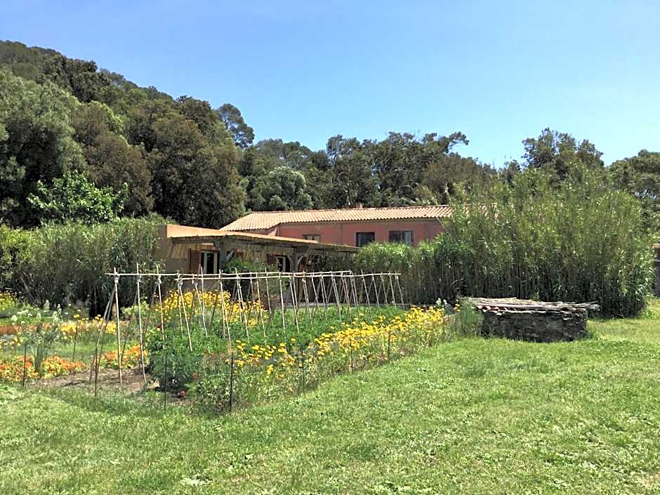 Le Manoir de Port-Cros