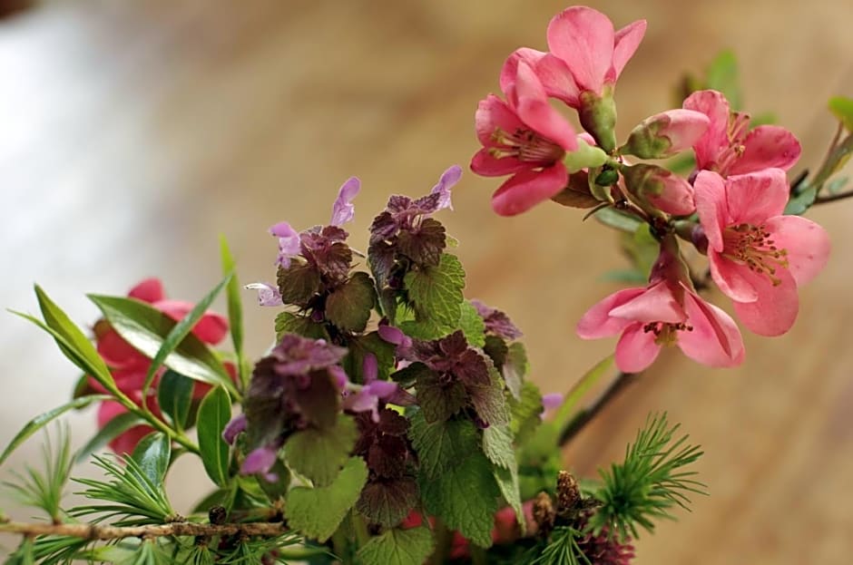 Stützpunkt Trebitz - Gästezimmer am Europaradweg R1