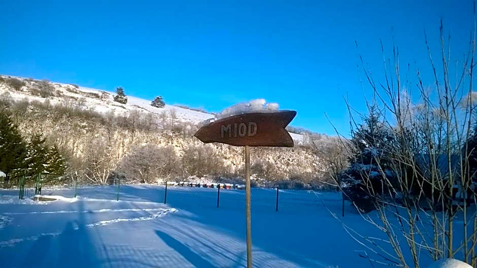 Domki w Smolniku z możliwością apiterapii