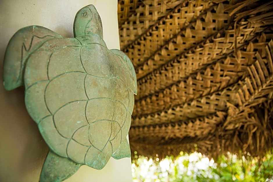 Castaway Island Resort