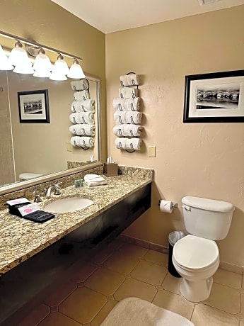 1 King Bed, Non-Smoking, High Speed Internet Access, Executive, Sofabed, Microwave And Refrigerator,