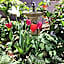 Bowral Road Bed and Breakfast