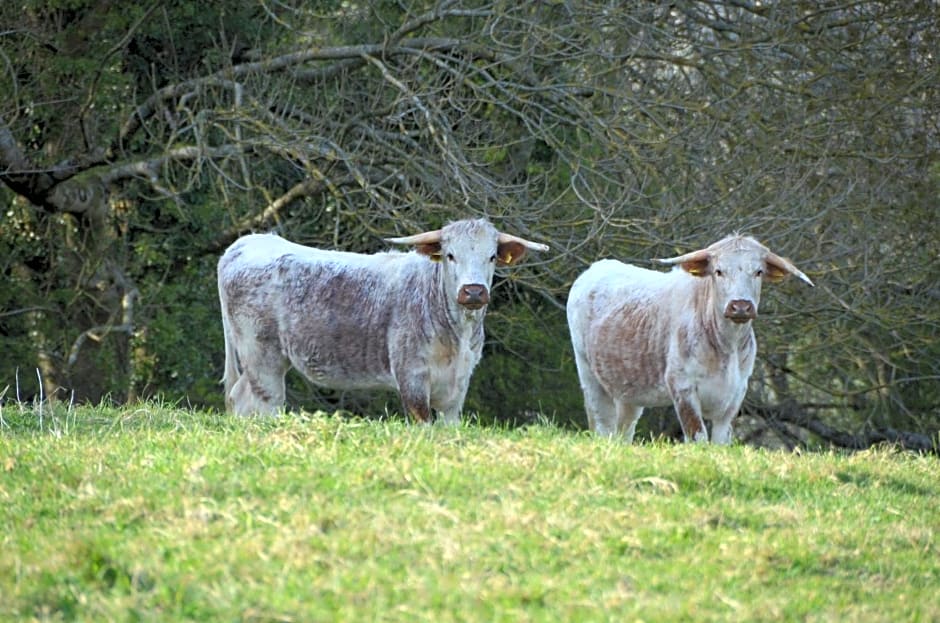 Top Parts Bed & Breakfast