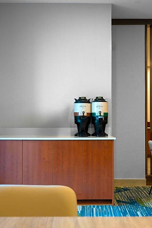 SpringHill Suites by Marriott Atlanta Kennesaw