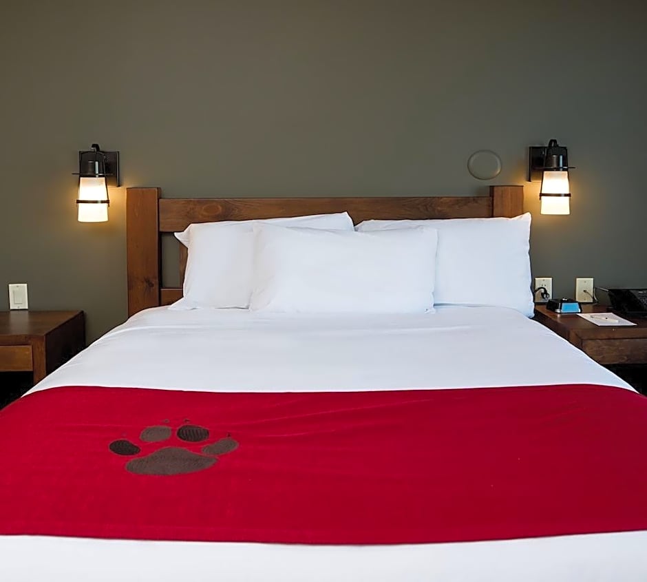 GREAT WOLF LODGE - BLOOMINGTON