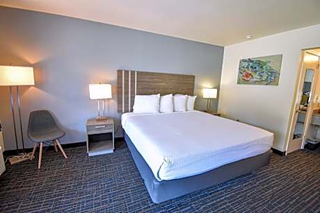 Queen Room - Disability Access