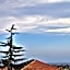 Etna En Vie