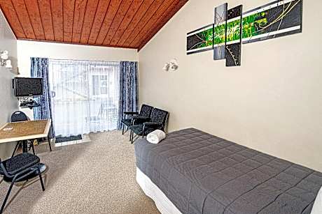 1 Bedroom Studio