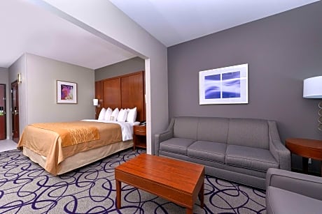 1 King Bed, Suite, Jacuzzi, Nonsmoking
