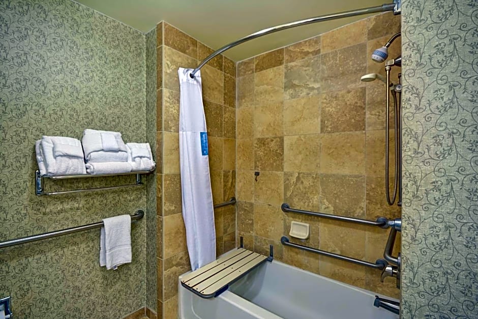 Hampton Inn By Hilton And Suites Savannah Historic District