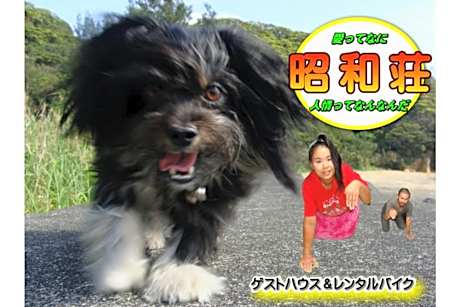 Amami Guest House showa-so