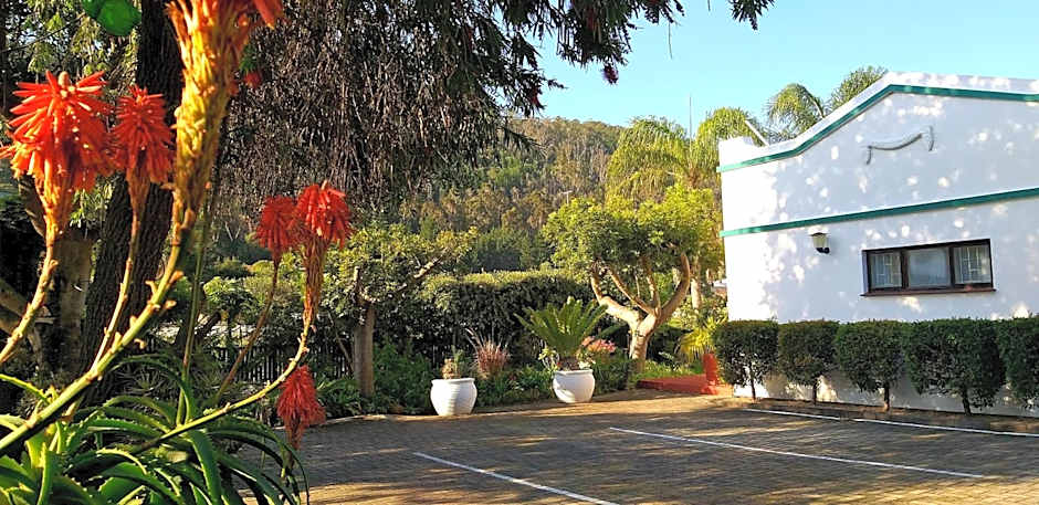 Forestview guesthouse and B&B