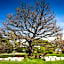 Ratho Farm