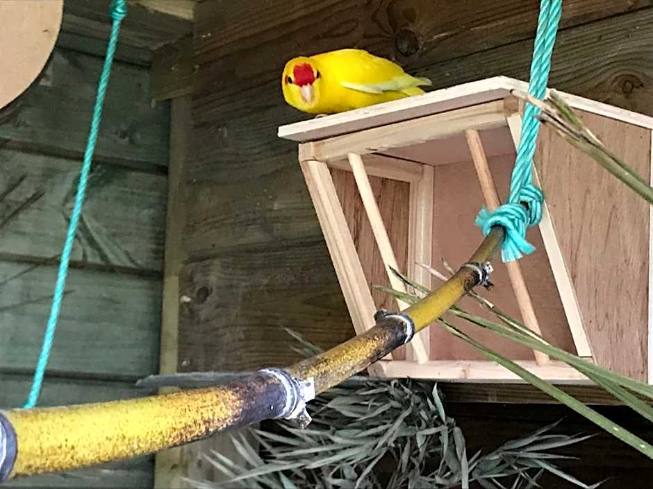 Les Crinieres En Brie