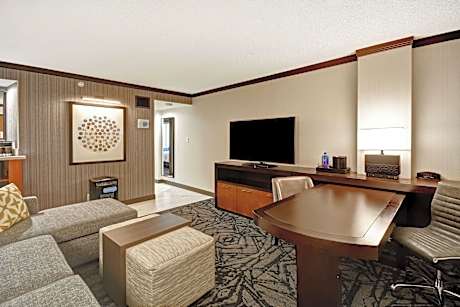 2 Room Suite - 1 King Bed - Mountain View