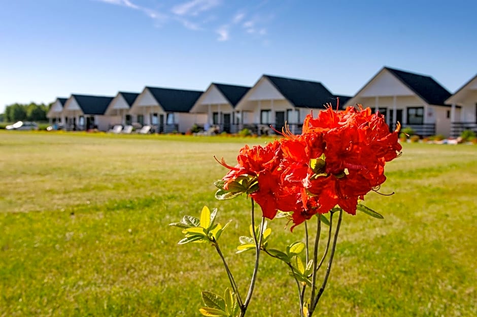 Domki Letniskowe Biała Perła