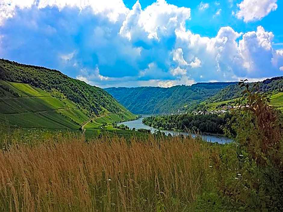 Weincafé Korkenzieher