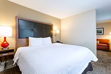 1 King Studio Suite Shower Only Nonsmoking