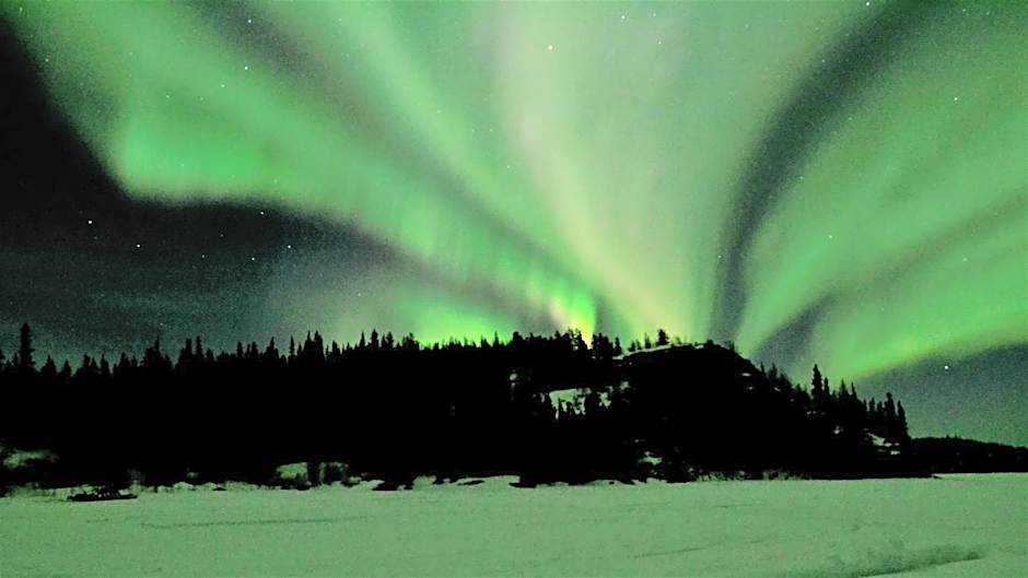 Yellow Dog Lodge, Inc.