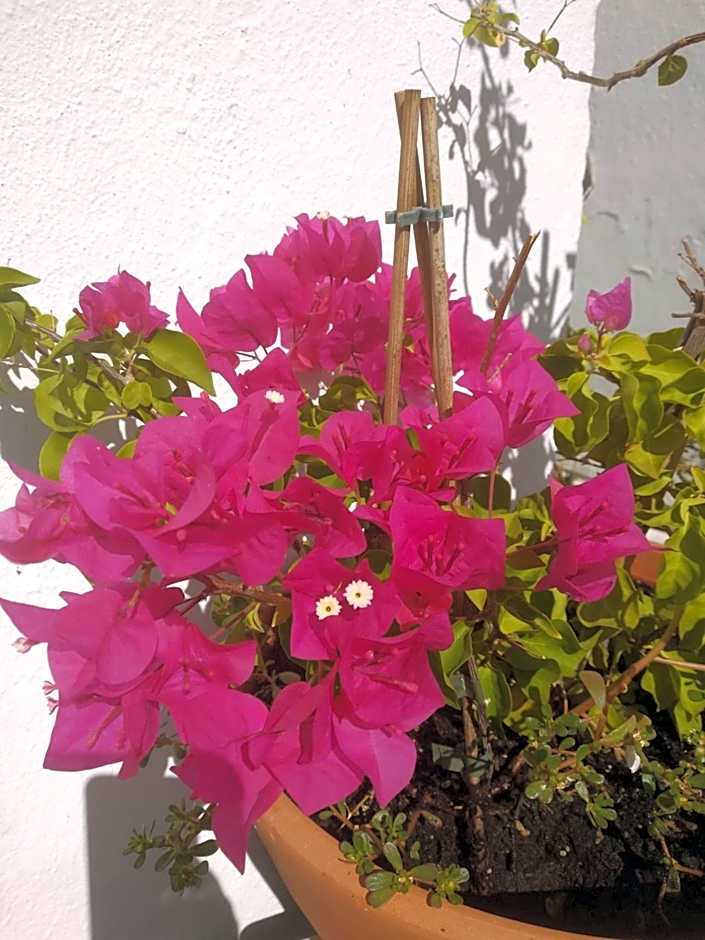 Bea's Bed & Breakfast