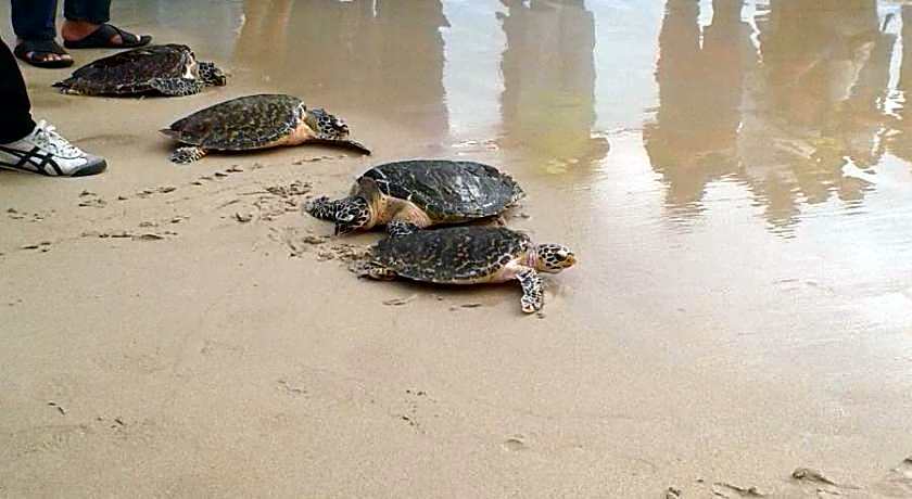 Chez Charly Bungalow