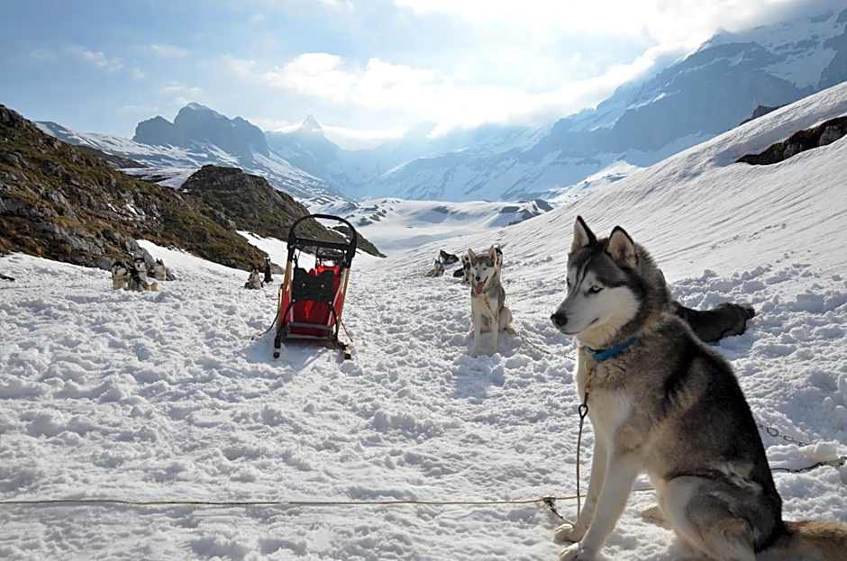 Hüttenhotel Husky Lodge