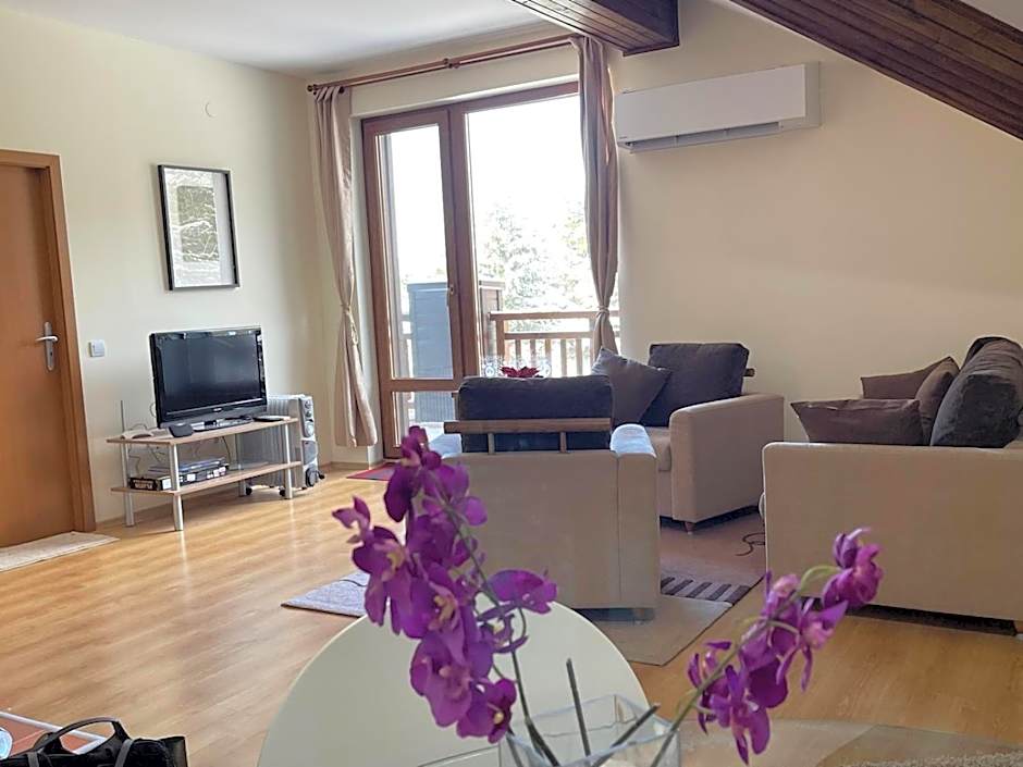 Cozy Mountain Apartment