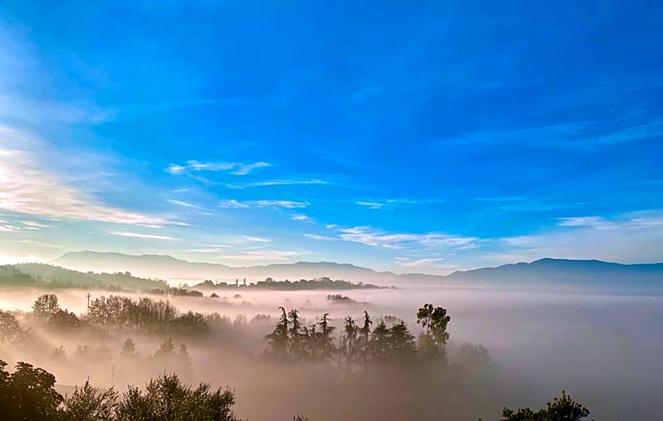 Donna Vittori - Borgo Agricolo