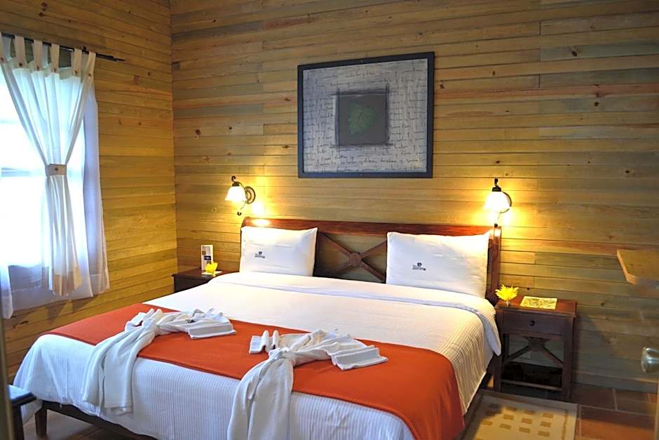 Finca Hamburgo La Ruta del Cafe