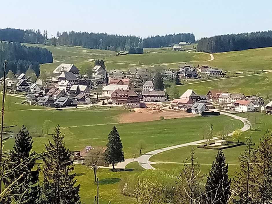 ZUR TRAUBE Schwarzwaldhotel & Restaurant am Titisee