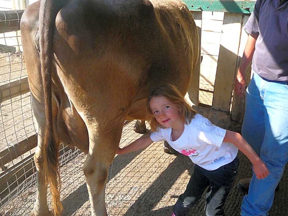 Bestbrook Mountain Farmstay