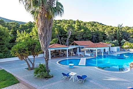 Vassilis Studios