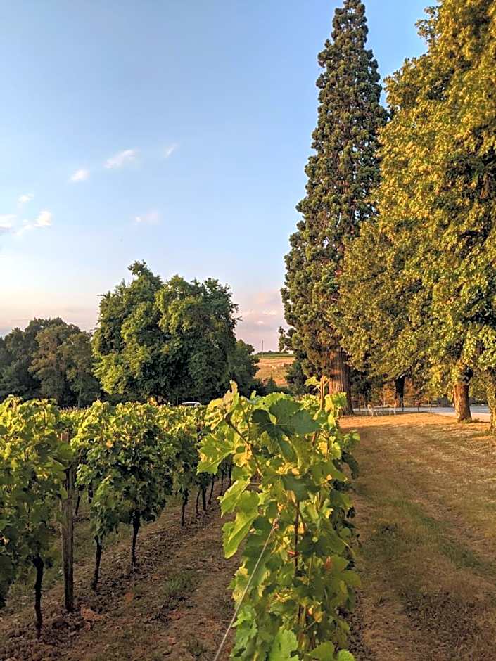 Chateau Carbonneau