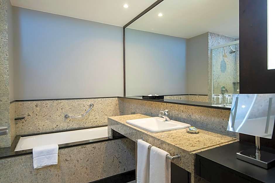 Pullman Sao Paulo Vila Olimpia