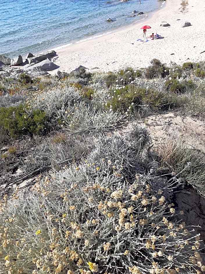 casa mirice in residence con piscina ,wifi,climatizzatore vicino al mare