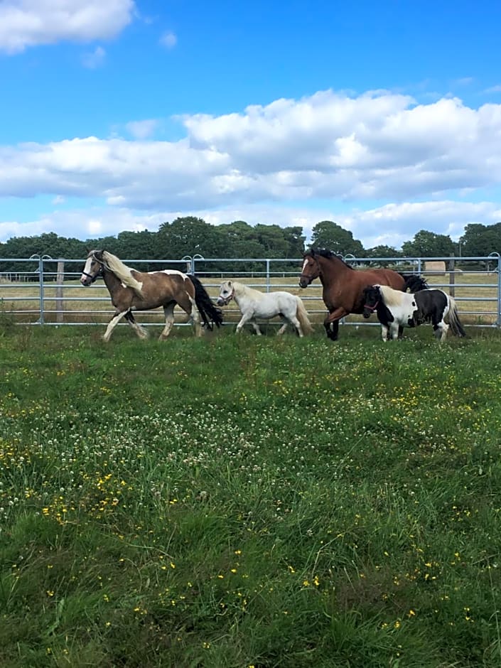 Les Fermes de Kercadoret
