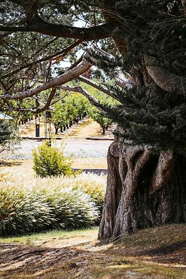 Iron Creek Bay Estate