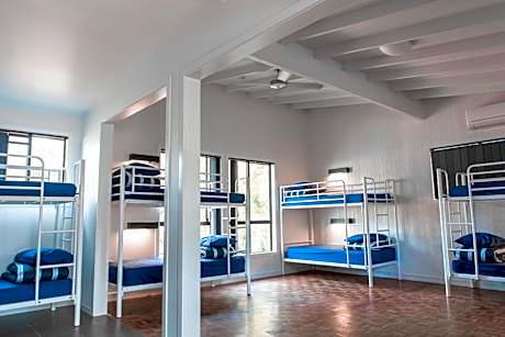 Bed in 10-Bed Mixed Dormitory Room