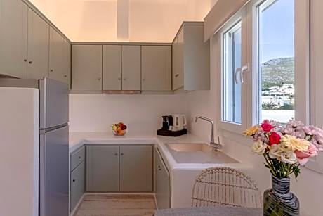 Apartment with Mountain View