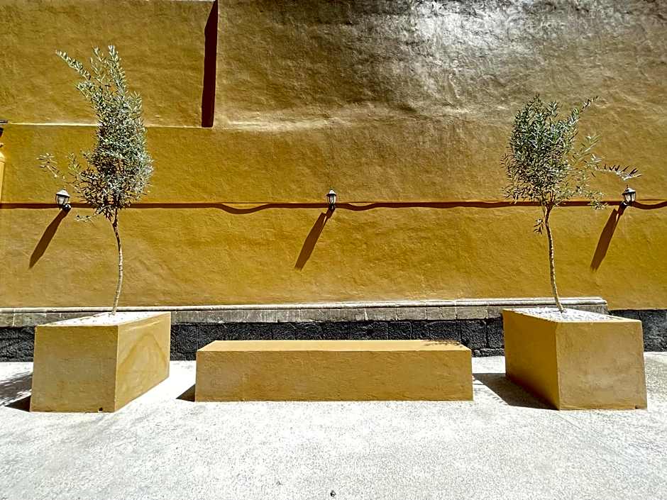 Colmena Hotel CDMX Centro