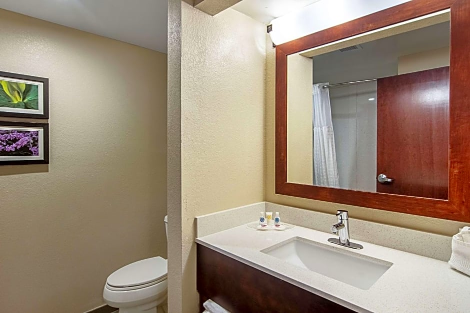 Comfort Suites Knoxville Airport