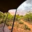 Out in Africa Wildlife Lodge
