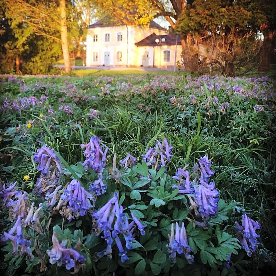 Åkeshofs Slott