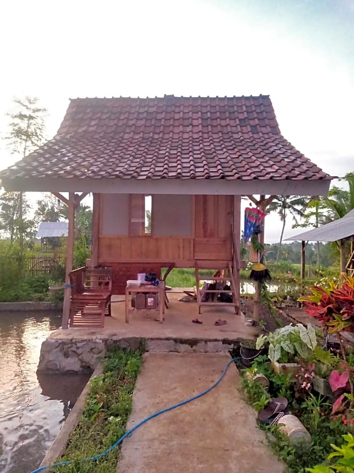 EXPRESS O 91901 Homestay Irish Irish