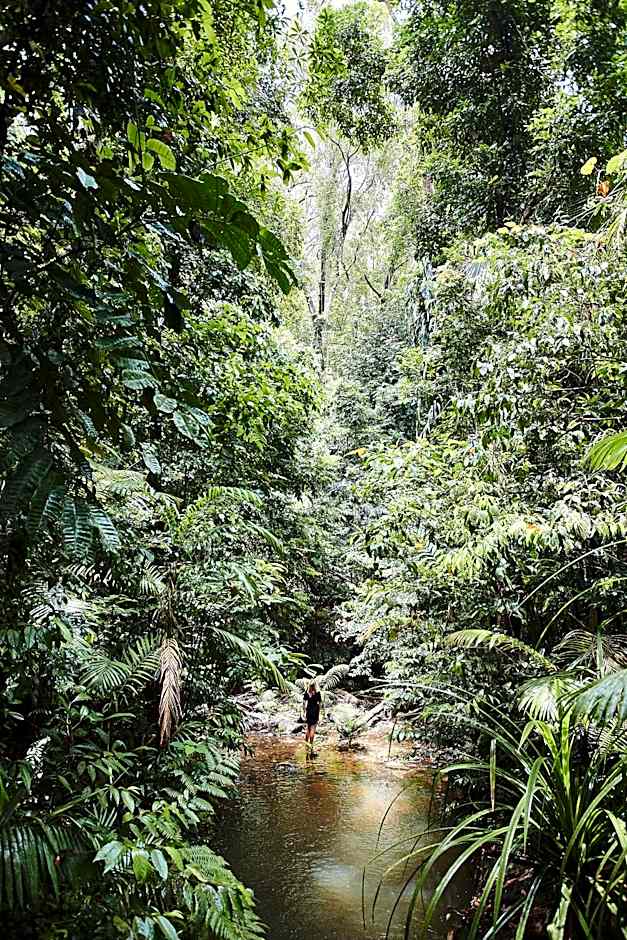 Daintree Eco Lodge & Spa