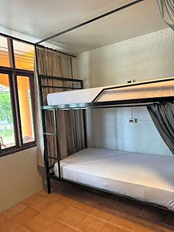 Bed in 10-Bed Mixed Dormitory Room